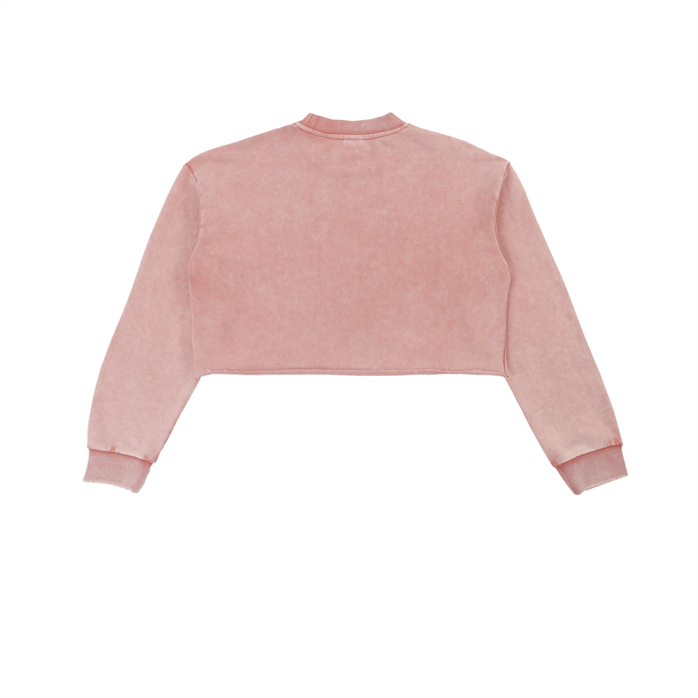 Nirvana Snow Washed Raw Edge Cropped Sweatshirt